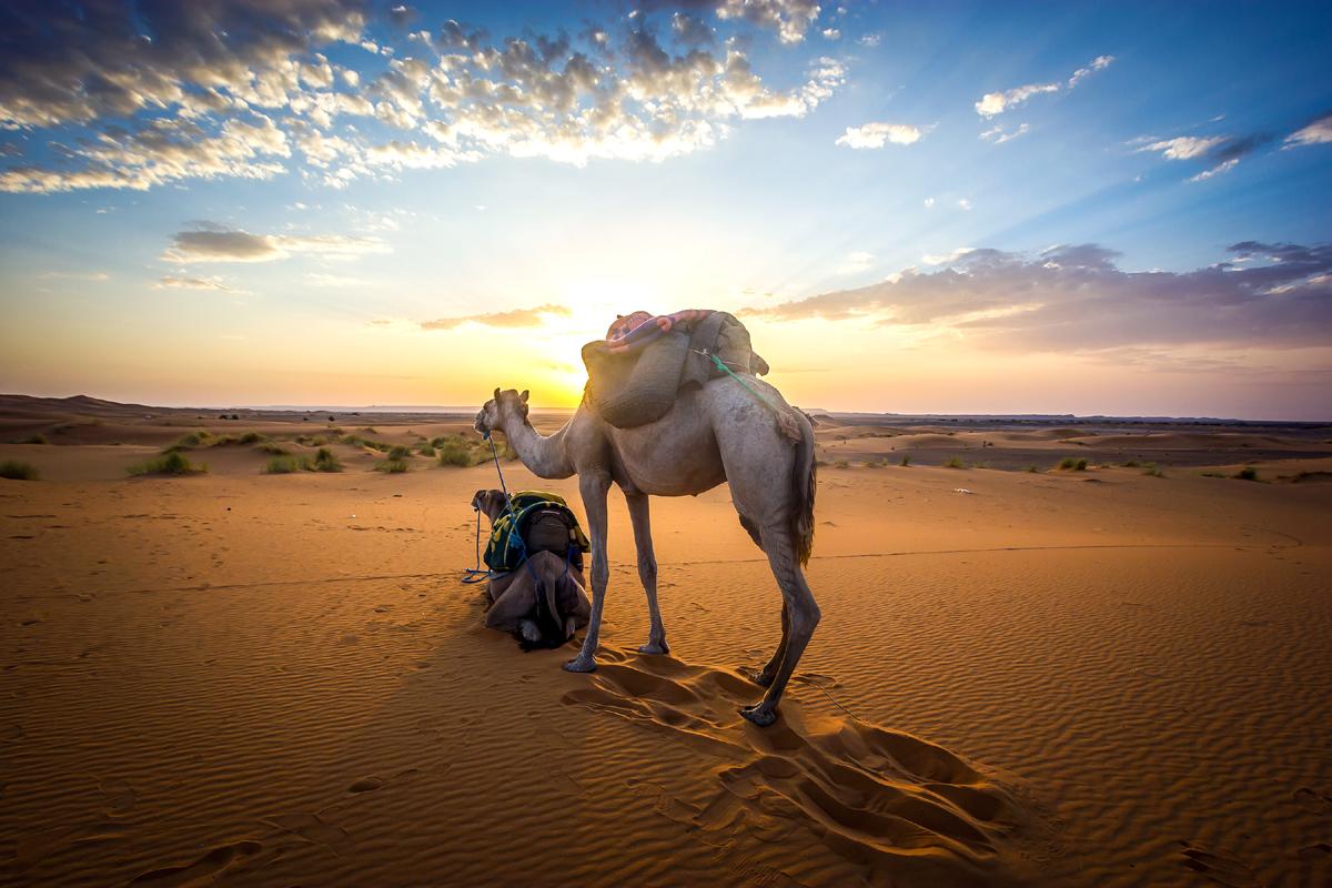 desierto marruecos exploring