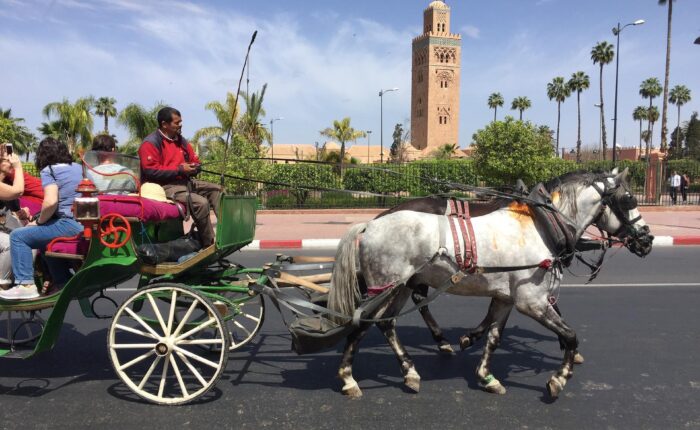 Tour de 3 días por el desierto de Fez a Marrakech
