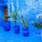Tour de 9 días por el desierto desde Casablanca