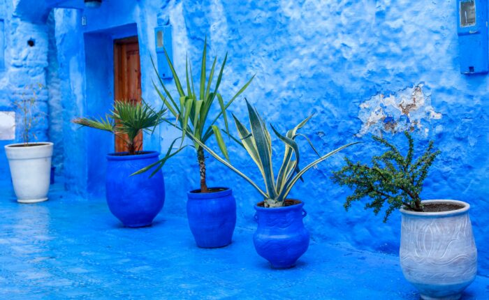 Tour de 9 días por el desierto desde Casablanca