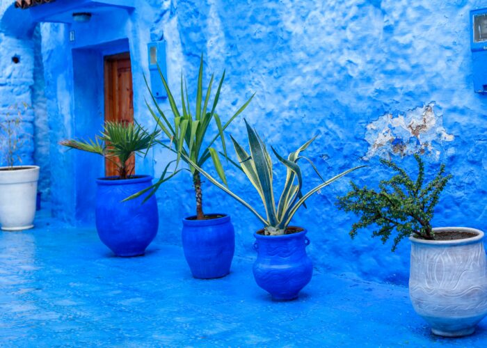 Tour de 9 días por el desierto desde Casablanca
