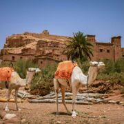 10 días por el desierto desde Casablanca