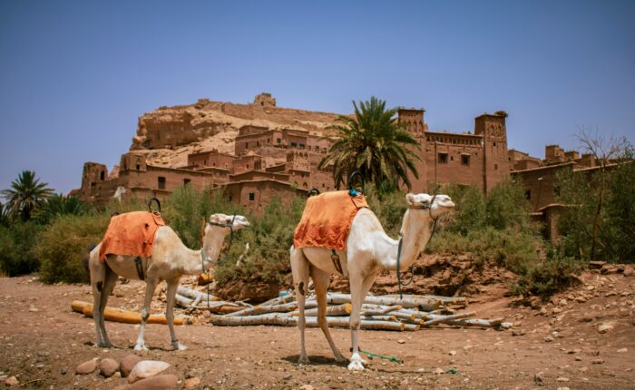 10 días por el desierto desde Casablanca