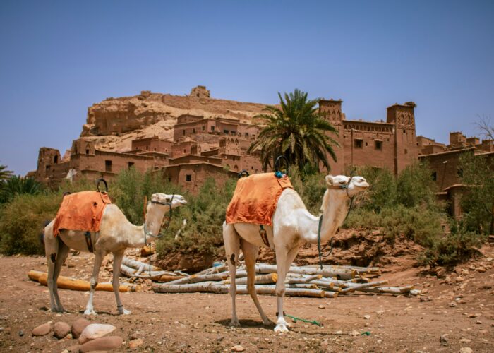 10 días por el desierto desde Casablanca